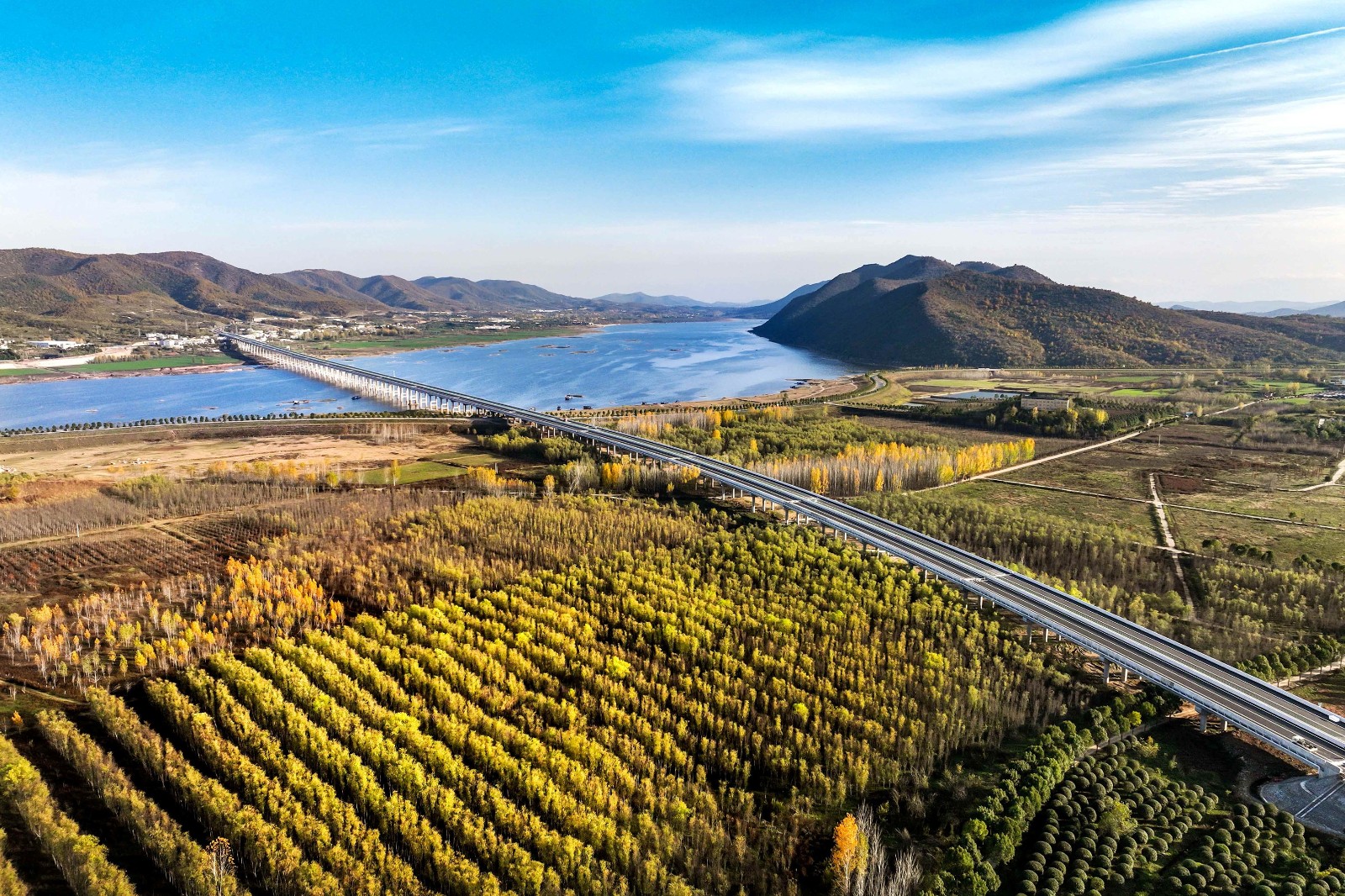 微信图片_20221226155618